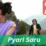 Pyari Saru Hindi Lyrics